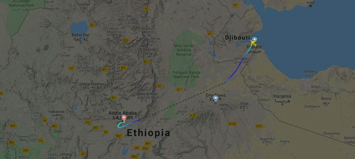 ethiopian-737-grasshopper-swarm