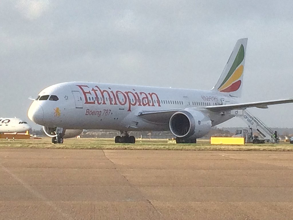 ethiopian-737-grasshopper-swarm